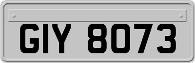 GIY8073