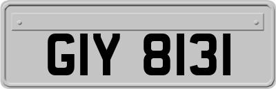 GIY8131