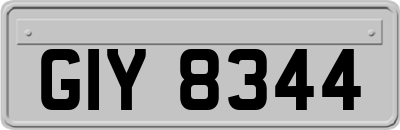 GIY8344
