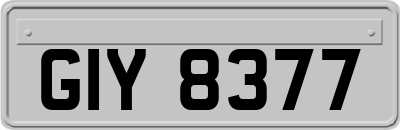 GIY8377