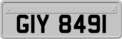 GIY8491