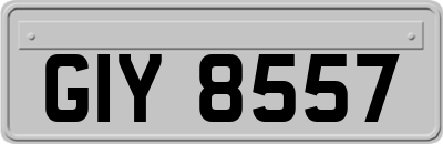 GIY8557
