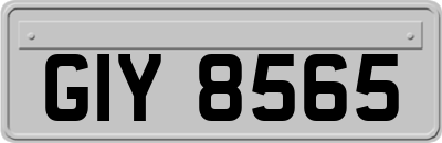 GIY8565