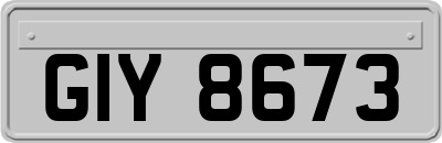 GIY8673