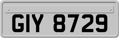 GIY8729
