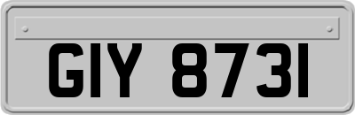 GIY8731