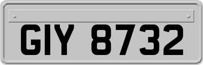 GIY8732