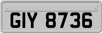 GIY8736