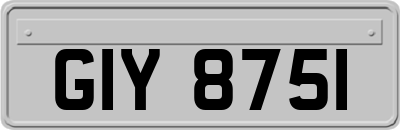 GIY8751