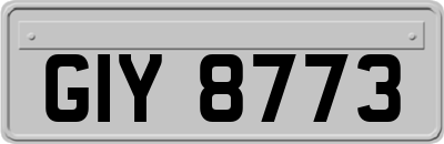 GIY8773