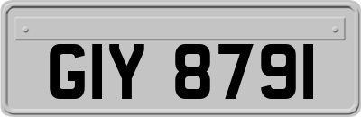 GIY8791