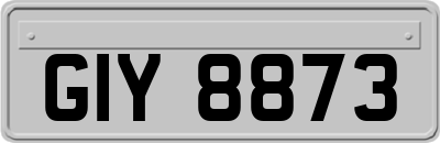 GIY8873