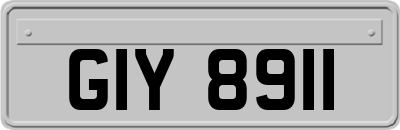 GIY8911