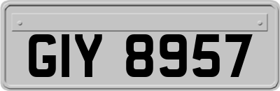 GIY8957