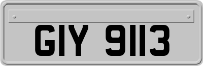 GIY9113