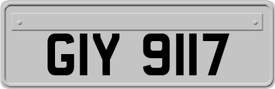 GIY9117