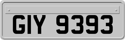 GIY9393