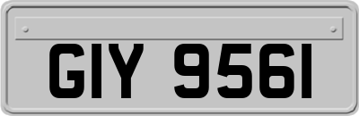 GIY9561