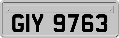 GIY9763