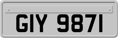 GIY9871