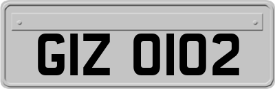 GIZ0102