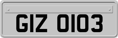 GIZ0103