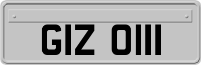 GIZ0111
