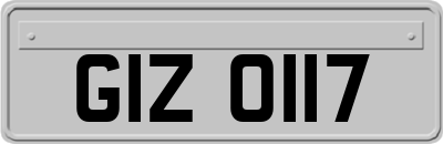 GIZ0117