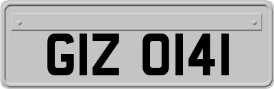 GIZ0141