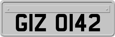 GIZ0142