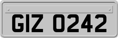 GIZ0242