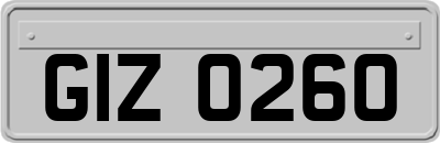 GIZ0260