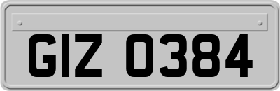 GIZ0384