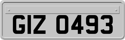 GIZ0493
