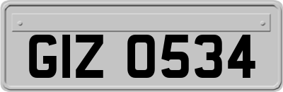 GIZ0534