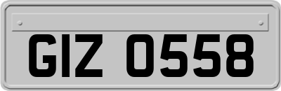 GIZ0558