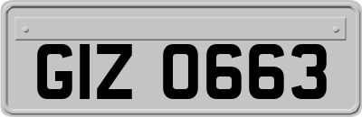 GIZ0663