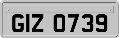 GIZ0739