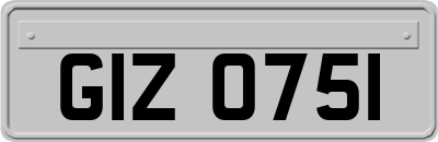 GIZ0751