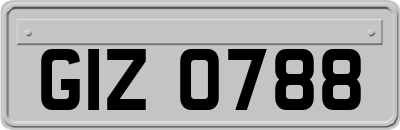 GIZ0788