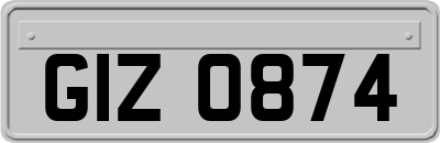 GIZ0874
