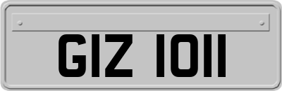 GIZ1011