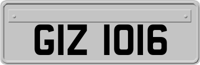 GIZ1016