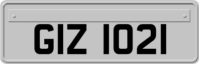 GIZ1021