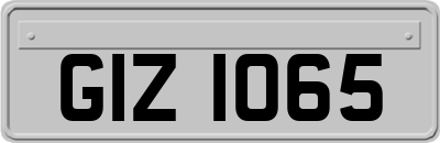 GIZ1065