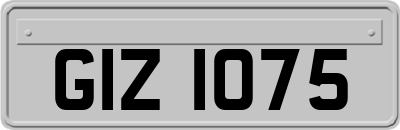 GIZ1075