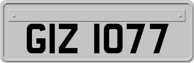 GIZ1077
