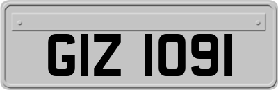 GIZ1091