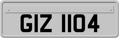 GIZ1104