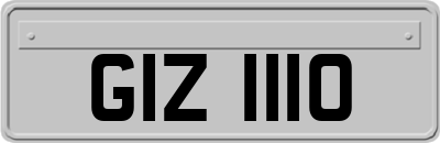 GIZ1110